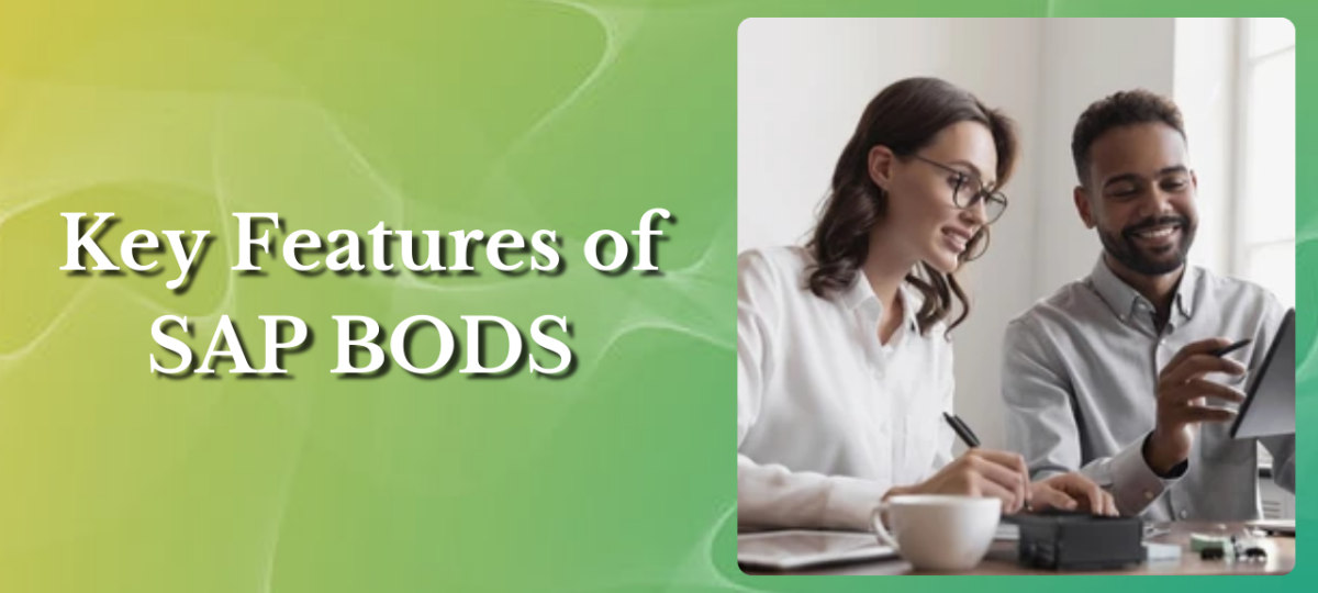 Key Features of SAP BODS – Insight IT Key features of SAP BODS Training in Hyderabad at Insight IT Training in Hyderabad
